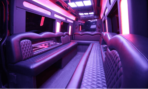 Longmont 14 Passenger Sprinter Bus Interior